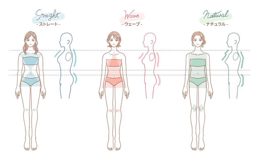 婚活恋活部【体験談レポ】 | 骨格診断の分かりやすい画像付き比較表とセルフチェック法や似合う服【知恵袋他】